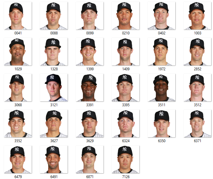 More information about "2015 New York Yankees Portrait Pack"