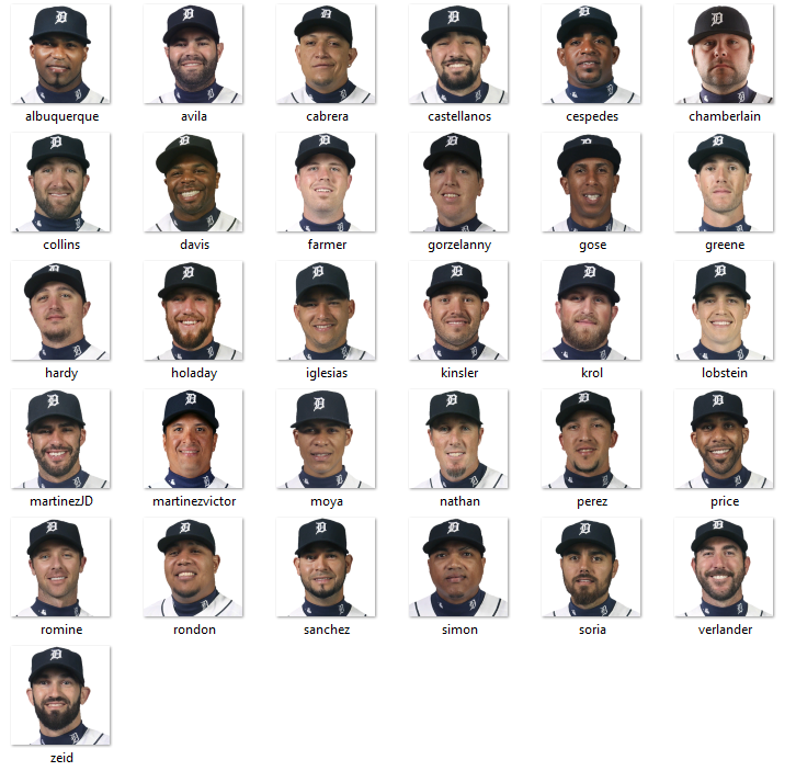 2015 Detroit Tigers Portrait Pack - Portraits - MVP Mods
