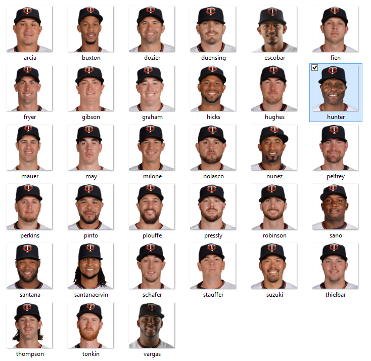 Minnesota Twins Roster