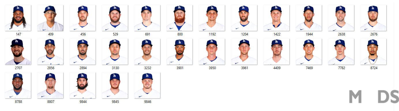 More information about "Los Angeles Dodgers portraits 2020"